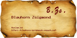 Blauhorn Zsigmond névjegykártya